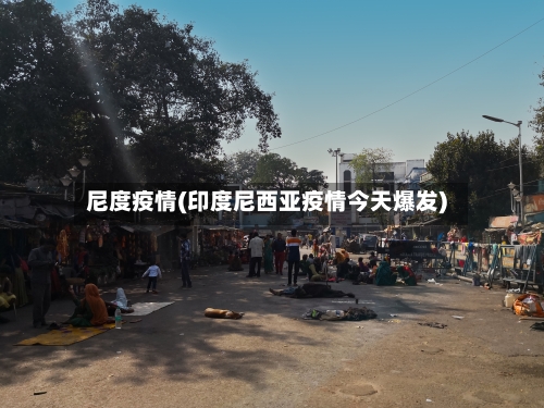 尼度疫情(印度尼西亚疫情今天爆发)-第3张图片