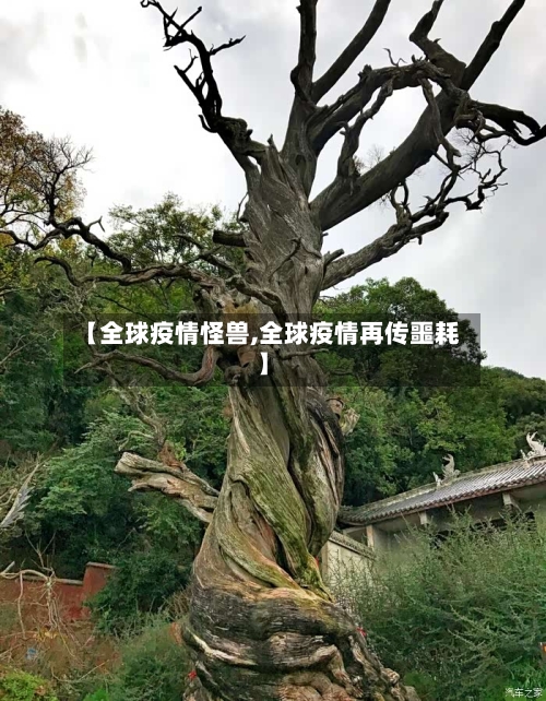 【全球疫情怪兽,全球疫情再传噩耗】-第3张图片