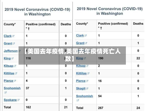 【美国去年疫情,美国去年疫情死亡人数】-第3张图片